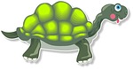 tortue_4_D2_6