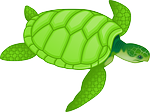 tortue_4_D2_3